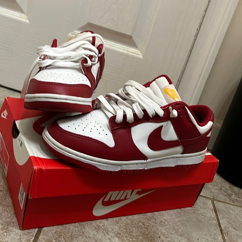 Nike dunk low retro size 7.5 worn one time